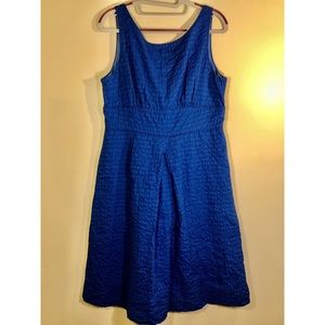 J. Crew Blue Dress